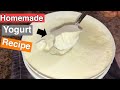 How to Make Yogurt at Home | Homemade Yogurt Recipe