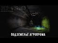 NEW ZONE RP SERVER | ПРИКЛЮЧЕНИЯ БОРЬКИ ЛОКОМОТИВА | ПОДЗЕМЕЛЬЕ АГРОПРОМА | ДЕД КОРОРЕД | Dayz #11