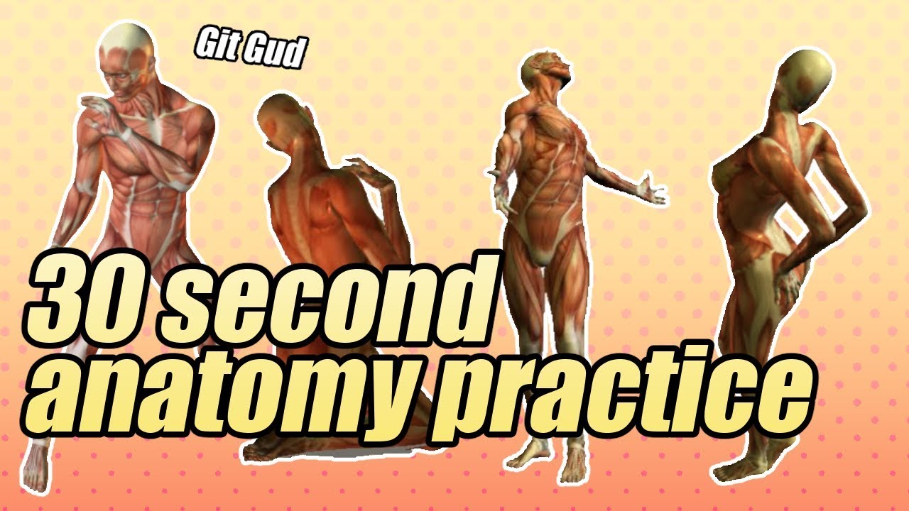 Improve Your Anatomy Posemaniacs 30 Second Gesture Drawings Youtube Improve Your Anatomy Posemaniacs 30 Second Gesture Drawings Youtube