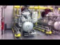 Frigoref nh3 compressors refrigeration system mycom