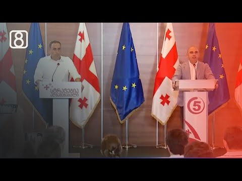 პოლიტიკური კონფიგურაციები ოპოზიციაში