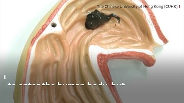 Researchers in Hong Kong Create ‘Soft Robot’ Made of Magnetic Slime