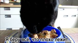 Пройдоха Учим разговорный немецкий без учебника с переводом Бесплатная онлайн программа по темам Пройдоха Учим разговорный немецкий без учебника с переводом Бесплатная онлайн программа по темам
