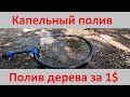 Как качественно и просто полить дерево на любом участке