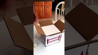 unboxing a Ball Python from BHReptiles