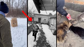 Неизвестное существо похитило наших котят (2 серия)