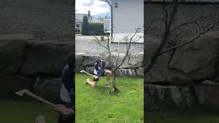 Guy gets tree in head while chopping