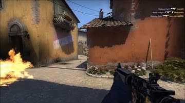 ESEA.net COTW: ESEA Main Quick Gunround Ace