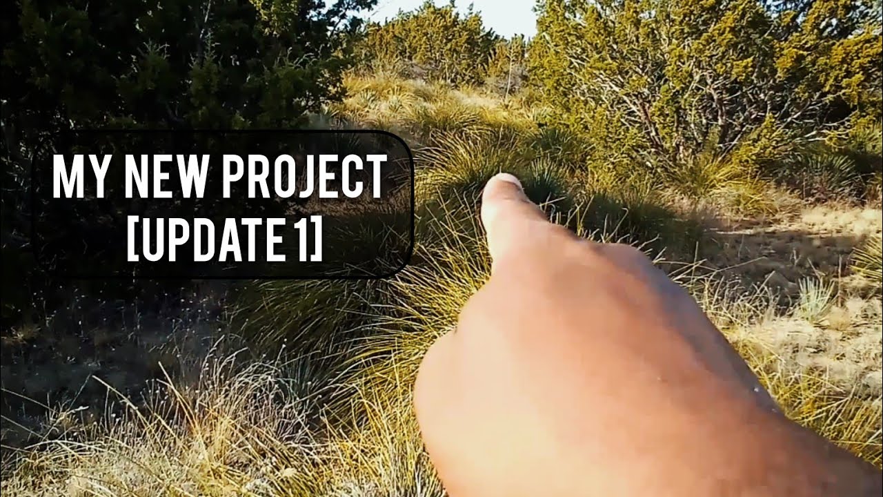 My New Project [UPDATE 1] #homesteaddan #danchism 