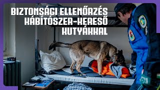 Biztonsági ellenőrzés kábítószer-kereső kutyákkal