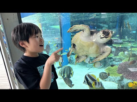 レオ☆スマイル - YouTube