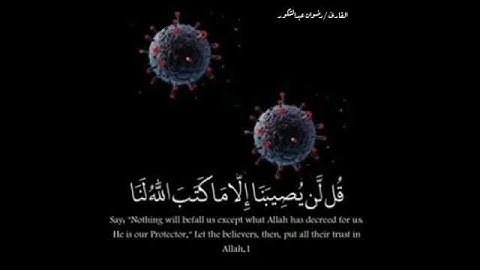 القارئ/ رضوان عبدالشكور