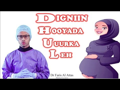 CALAAMADAHA HALISTA AH EE UURKA ( Fadlan Deg Deg ku Gaar xarumaha caafimaadka Ee ku dhawo) Dr Faris