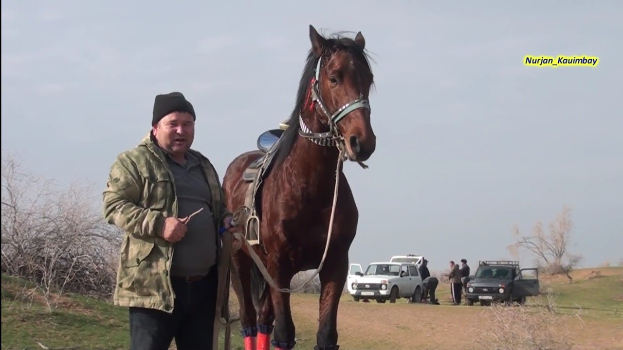 Шардара ауданы Темырхан ата-құдығы Джаппаровтар әулеті Нұрланұлы Бағланның сүндет тойы 30-11-2022ж