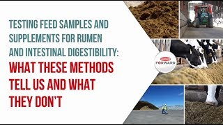 Testing Feed Samples And Supplements For Rumen And Intestinal Digestibility
