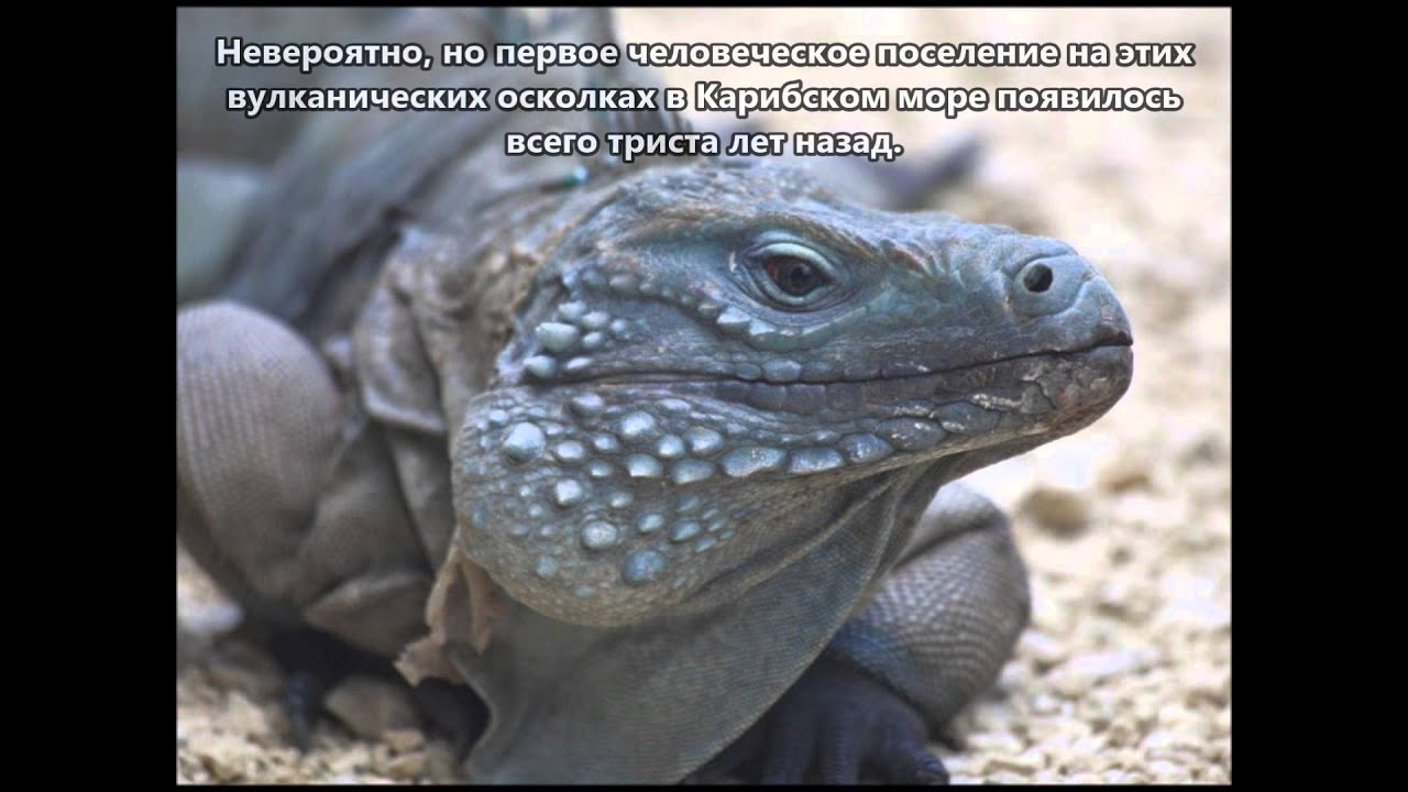 ZF2MJ Каймановы острова.