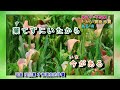 都忘れ 中島ゆきこ 字義版