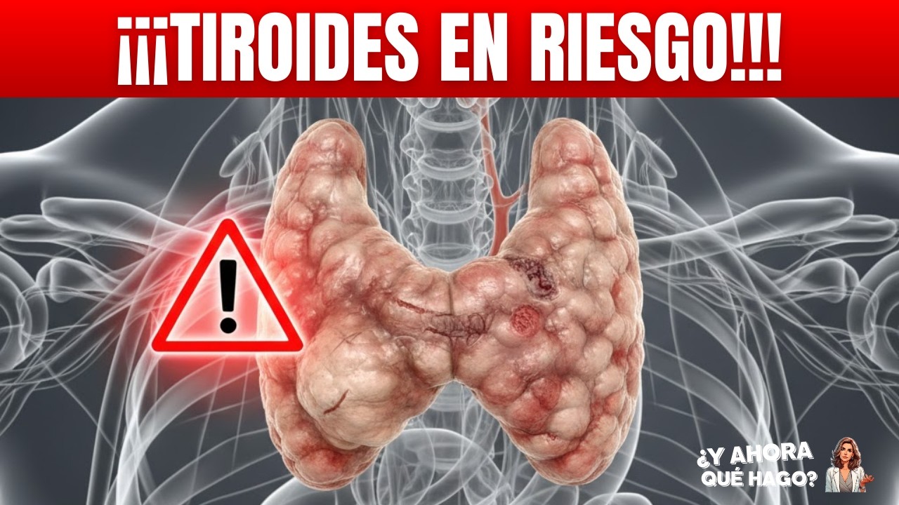 Ashwagandha y Tiroides Cuándo Puede Ser Peligrosa