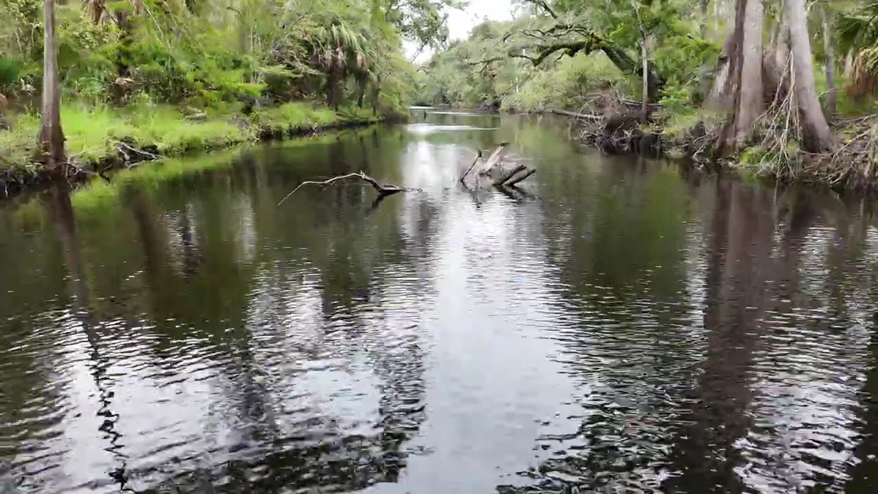 Steinhatchee river