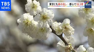 東京にもようやく春の兆し 都心で最高気温18.5度観測