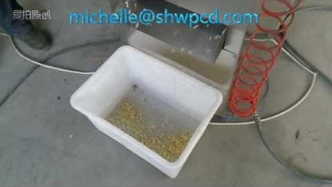 peanut slicer machine, roaster peanut cutter,automatic nut slicer