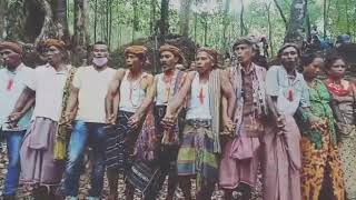 Download Lagu Serimonia kultural tebe bee suku Atudara Cailaco MP3