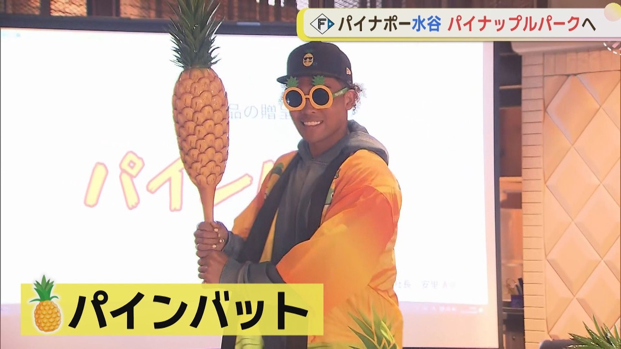 【パイナポー】アンバサダー水谷選手がパイナップルパーク訪問！