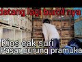 datang lagi burcil nya, cigun cipo, perjak atas, dll,