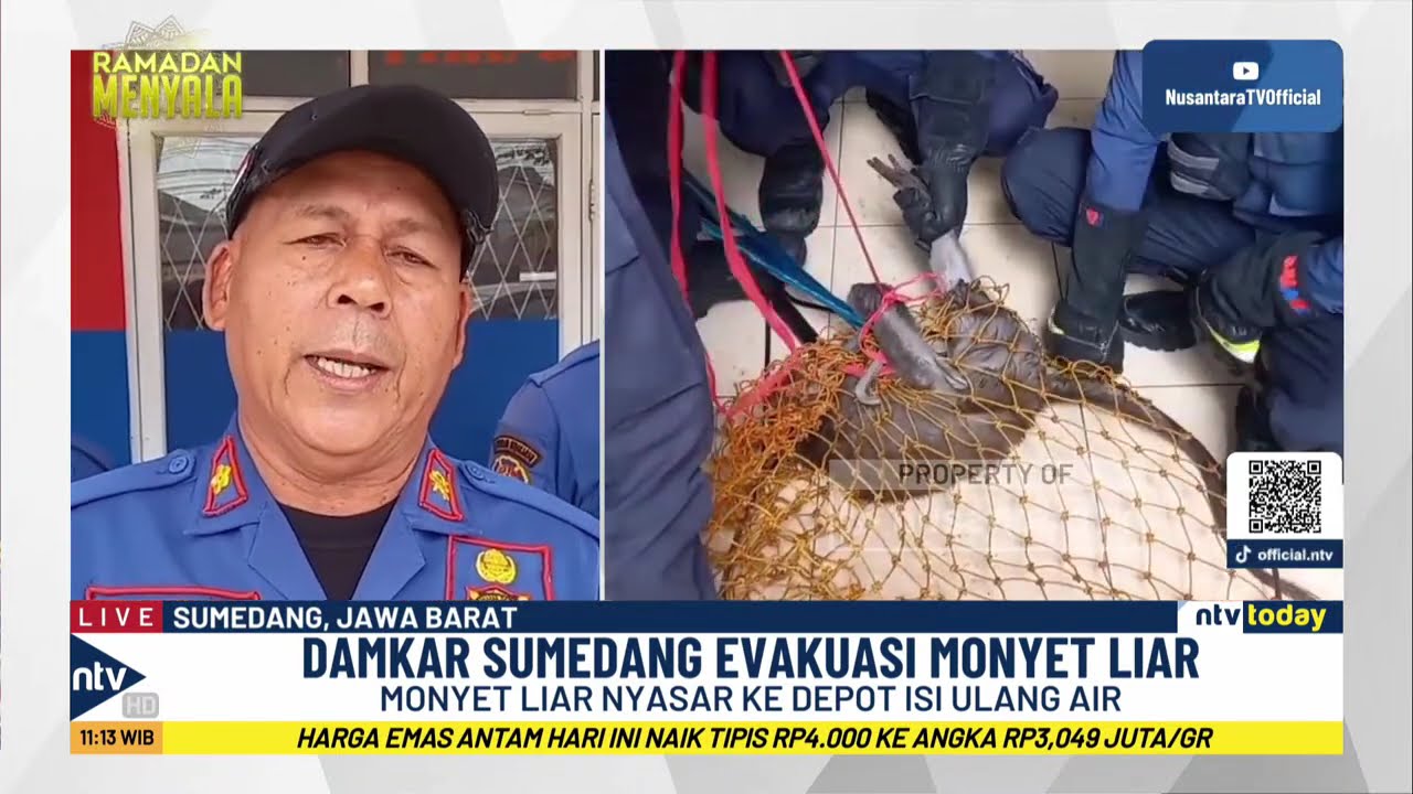 [LIVE] Bubarkan Balap Liar di Malang, Warga Buang Motor ke Sungai | NTV TODAY