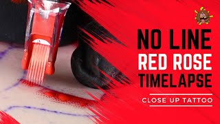 Red Rose No Line Tattoo Timelapse