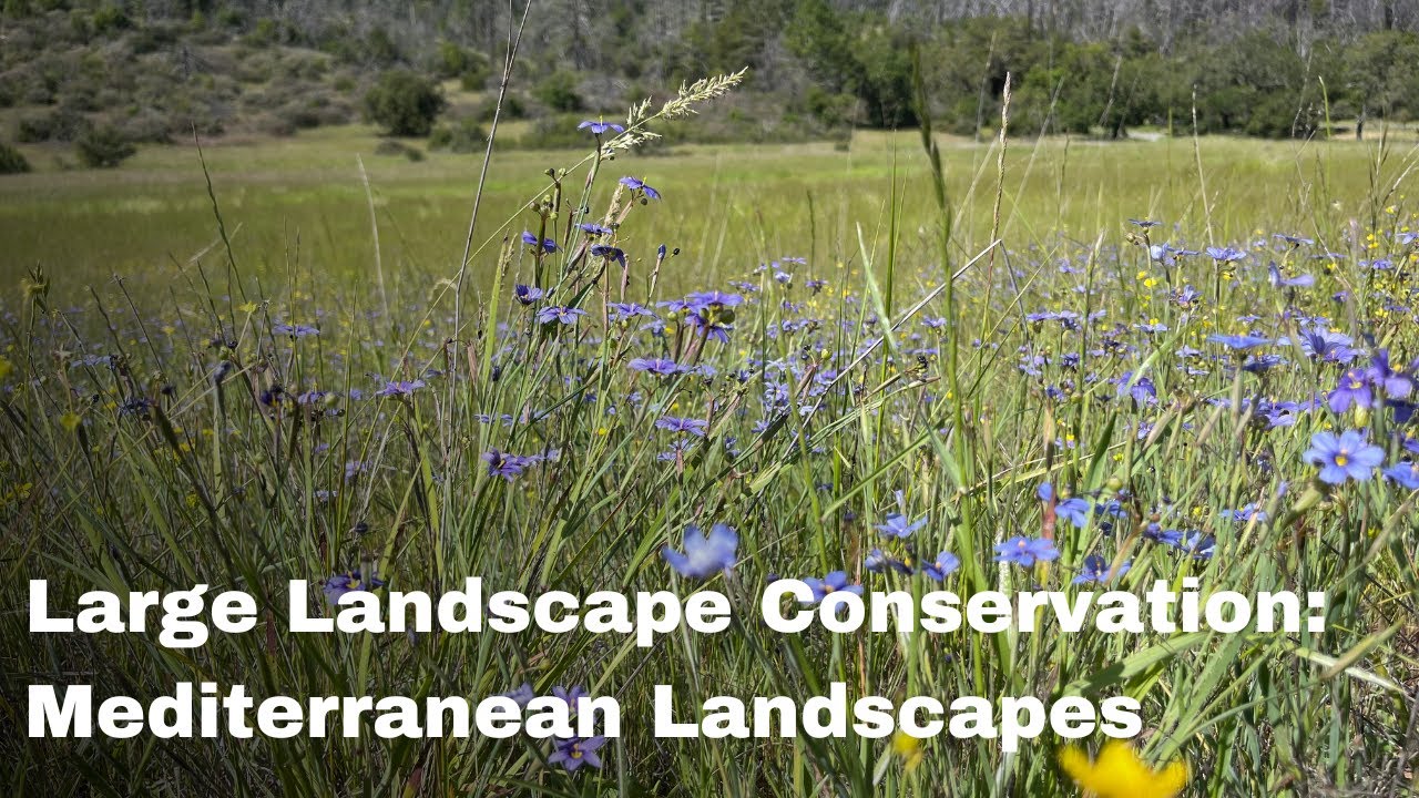 Large Landscape Conservation Webinar (originally aired 2020)