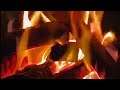 Cozy Campfire Sounds 🔥 Relaxing ASMR Fire Crackling for Sleep, Study & Stress Relief (No Talking)