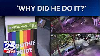Outraged Boston business owner sounds off after vandalism of ‘Southie Pride’ sign