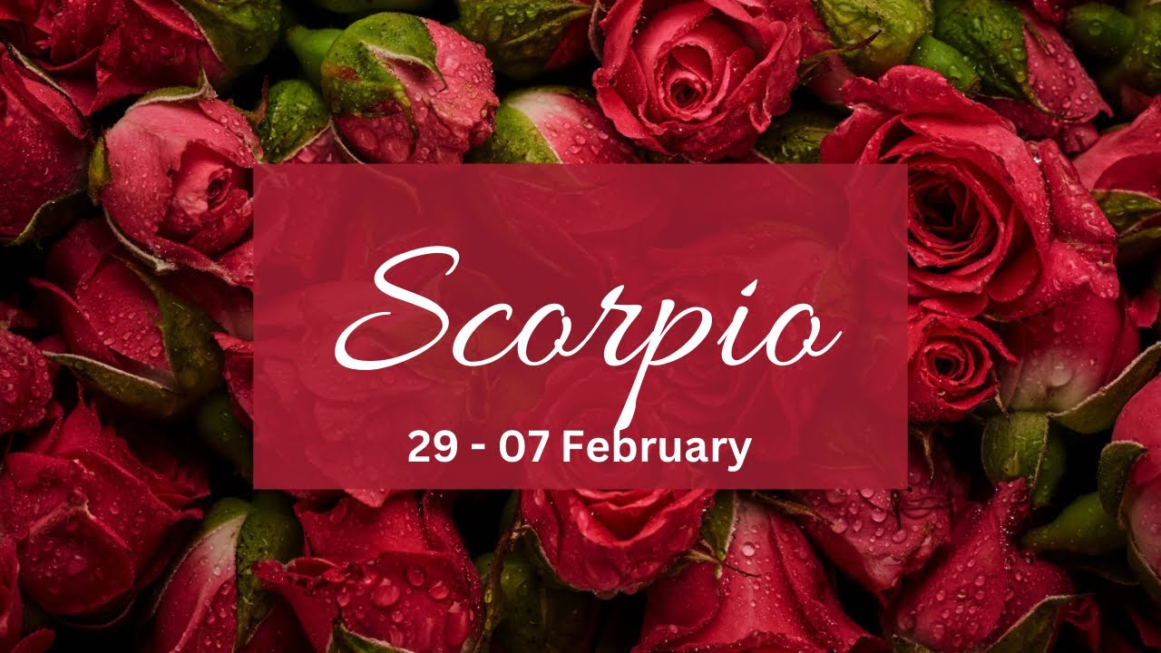 Scorpio❤️Manifesting u back!U gave it ur all but they still let u down & now the tables have turned!