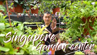 Master Common Plant Names And Care Tips + Singapore Plant Prices At Far East flora screenshot 2