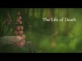 The life of death  a short film by marsha onderstijn