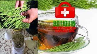Diurético Y Depurativo Te De Espárragos Y Cola De Caballo.