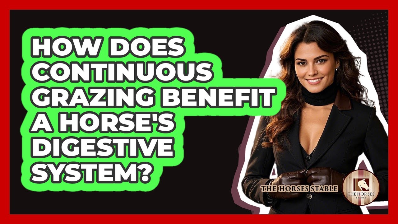 How Does Continuous Grazing Benefit A Horse's Digestive System? - The Horses Stable