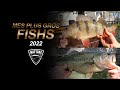 Mes Plus Gros Fishs 2022(perches, pikes, bass, chubs, carpe, truites) Pêche Toulouse et Ariège