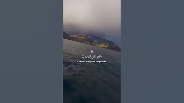 سورة الأعلى بصوت الشيخ عبدالرحمن مسعد/ تلاوة خاشعة