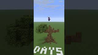 A Really Cool Custom Oak Tree