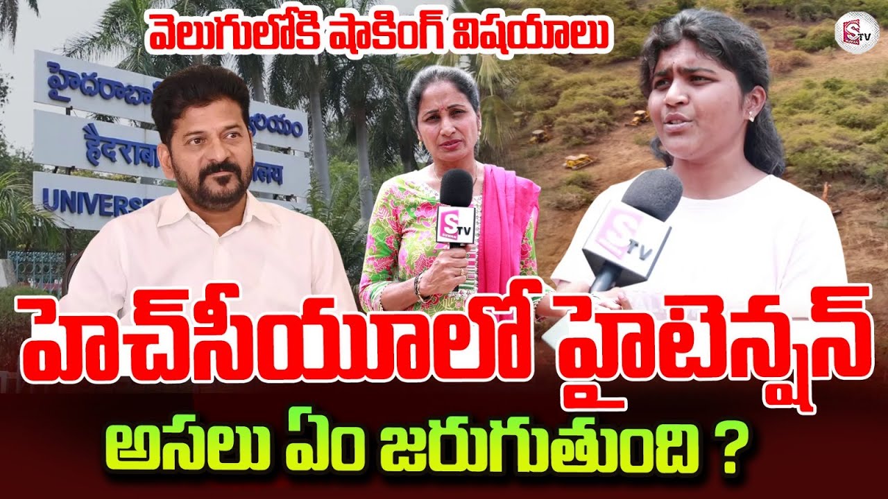 Students About Hyderabad Central University Land Issue | CM Revanth Reddy | Nirupama Interviews