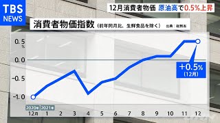 ４か月連続増 １２月消費者物価 原油高で０．５％上昇
