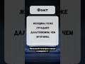 ИНТЕРЕСНЫЙ ФАКТ