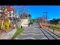 TOKYO Shakujii-koen Walk - Japan 4K HDR