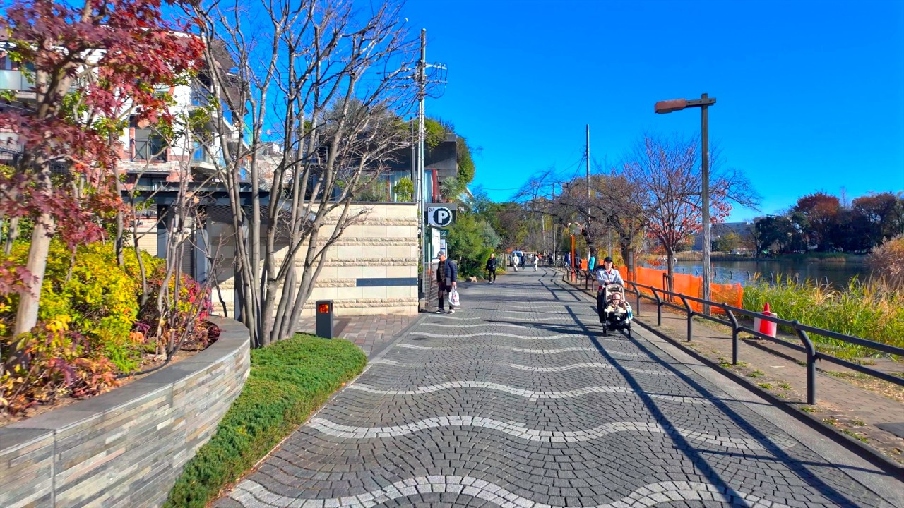 TOKYO Shakujii-koen Walk - Japan 4K HDR