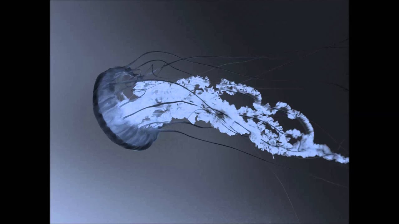 Creep by Radiohead -Wholly Innocent? recording Matt Pearce Phil Hodgkinson