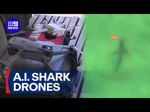 Trial underway for shark detecting drones | 9 News Australia