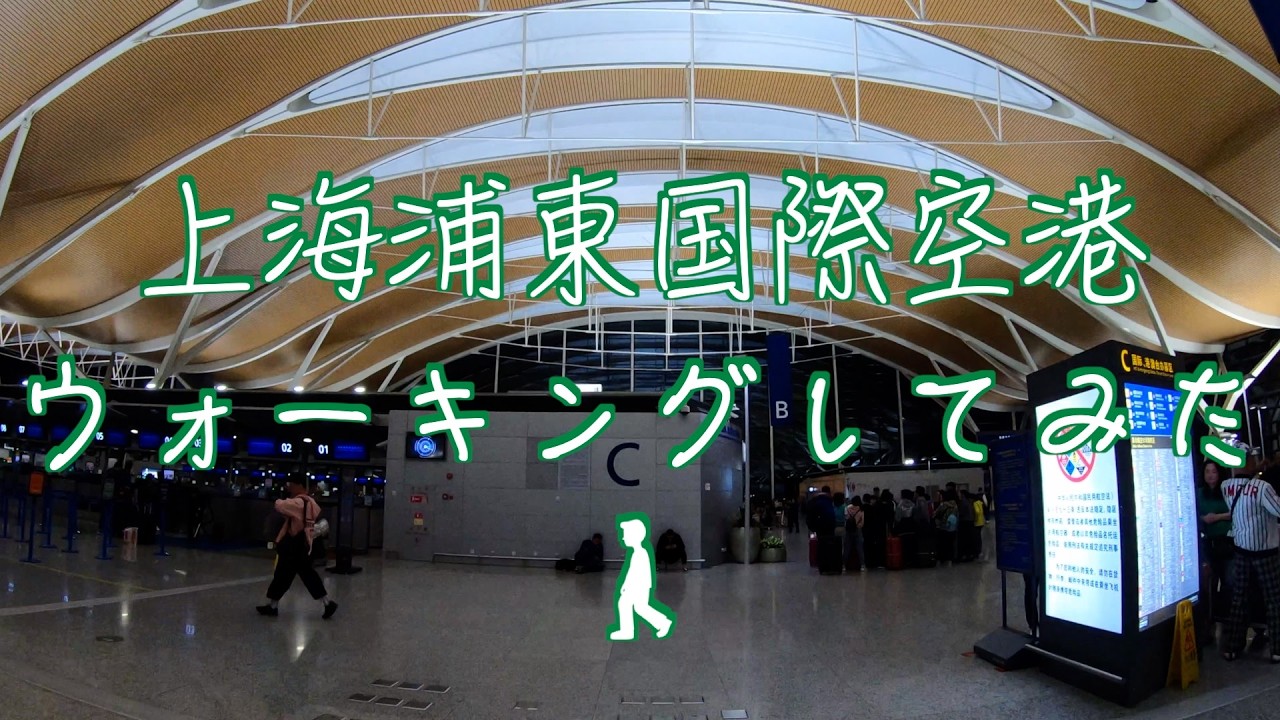 トランジット中の上海浦東国際空港ウォーキングしてみた✈️