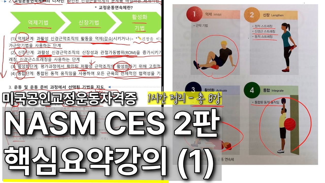 [ NASM CES 2판 ] 핵심요약강의 1강 (요약정리,문제집제공) - YouTube